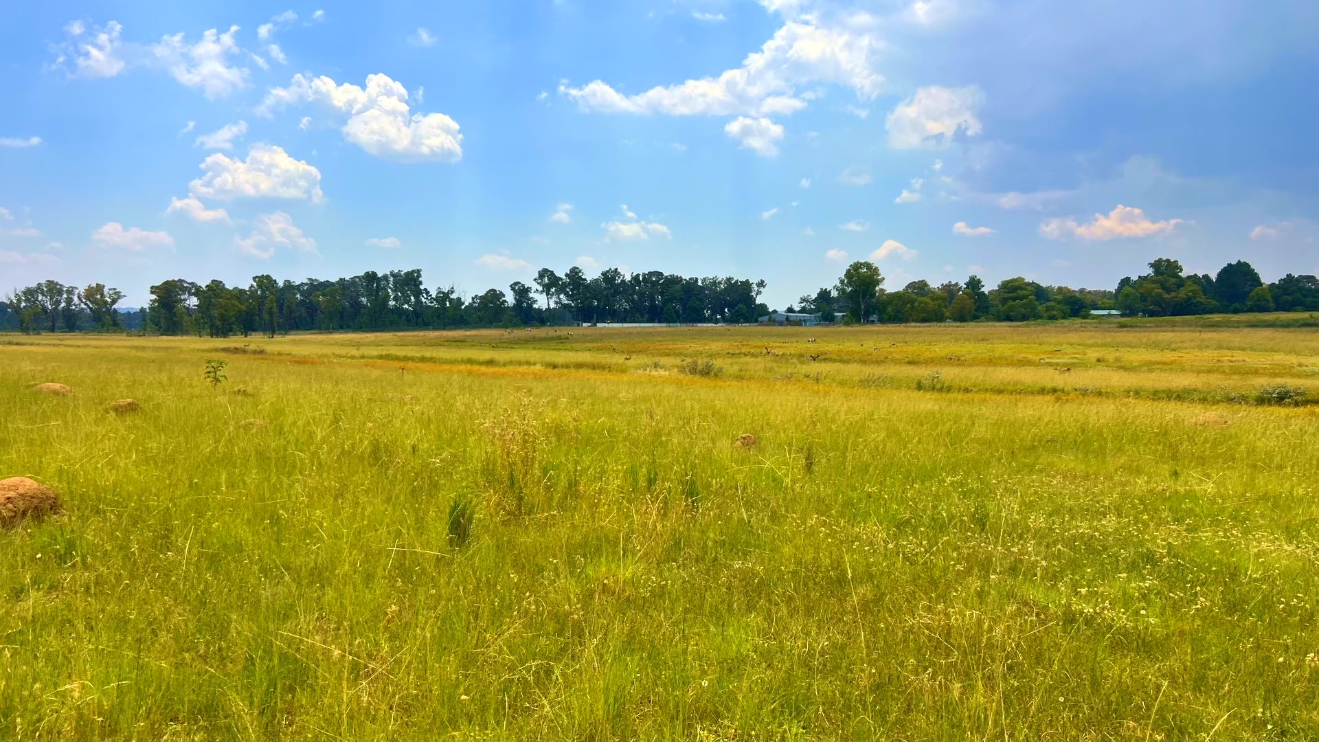 Property 3106061 - Image 77