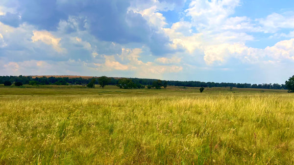 Property 3106061 - Image 78