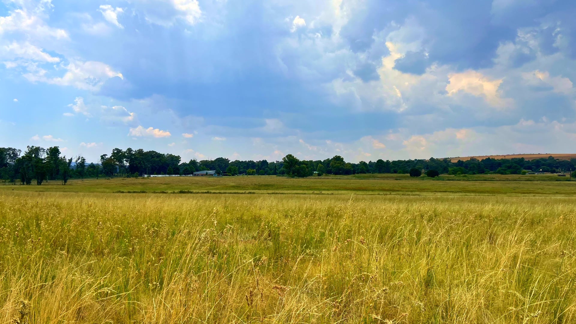 Property 3106061 - Image 79