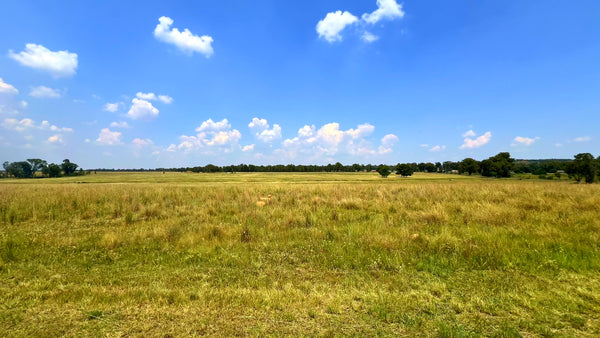 Property 3106061 - Image 80