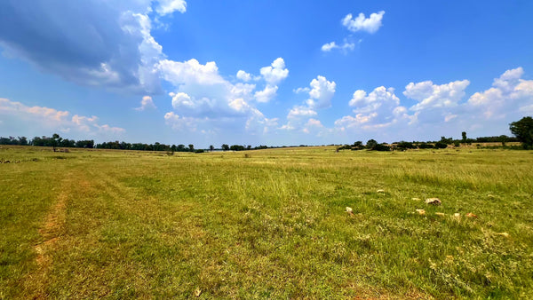 Property 3106061 - Image 81