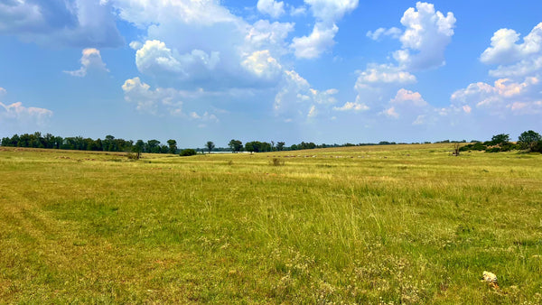 Property 3106061 - Image 82