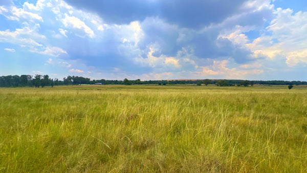 Property 3106061 - Image 83