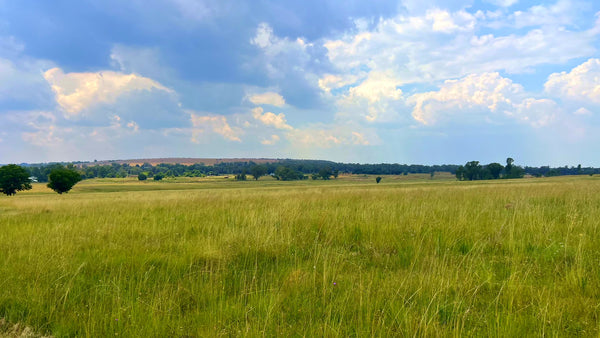 Property 3106061 - Image 84