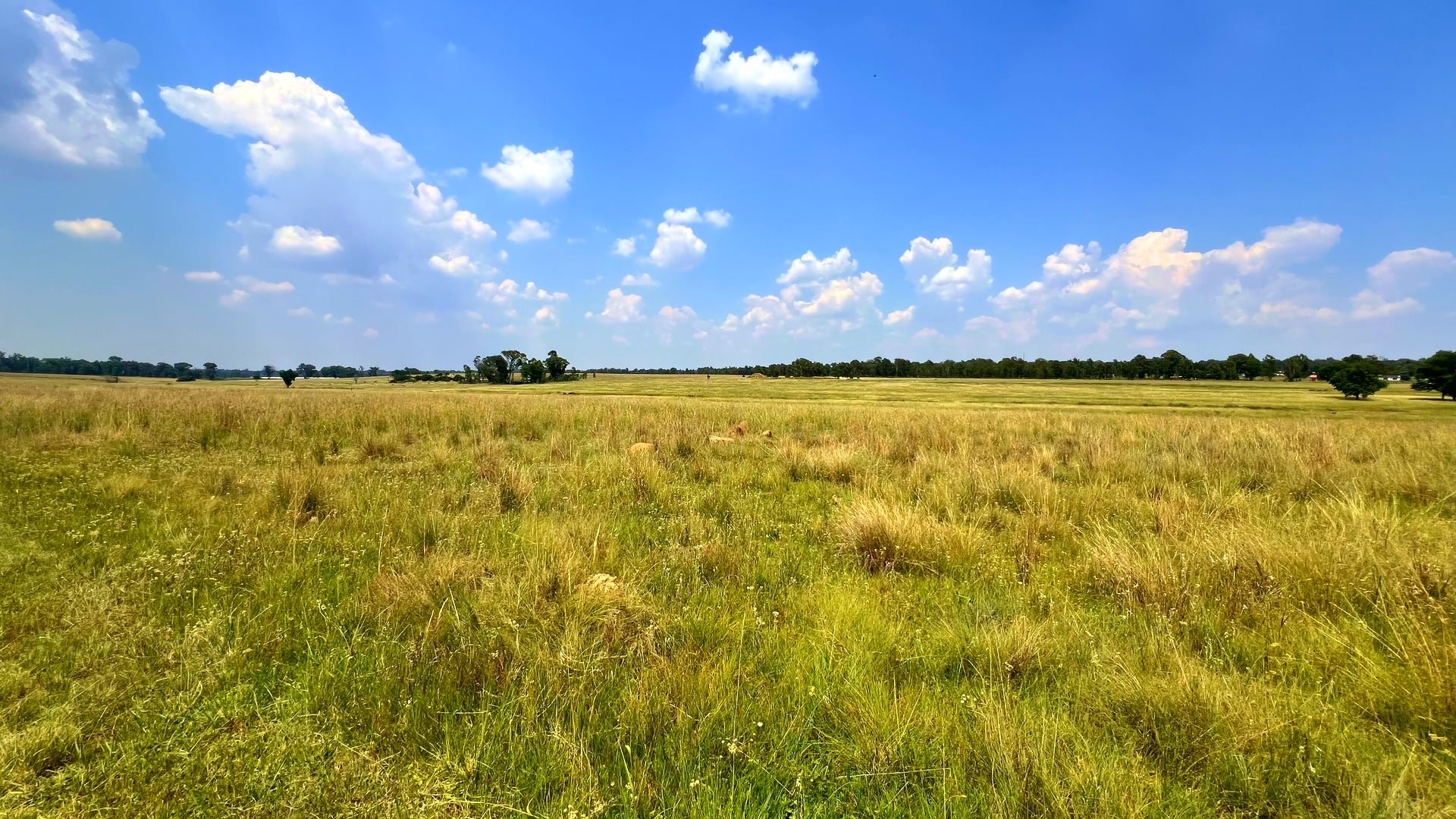 Property 3106061 - Image 85