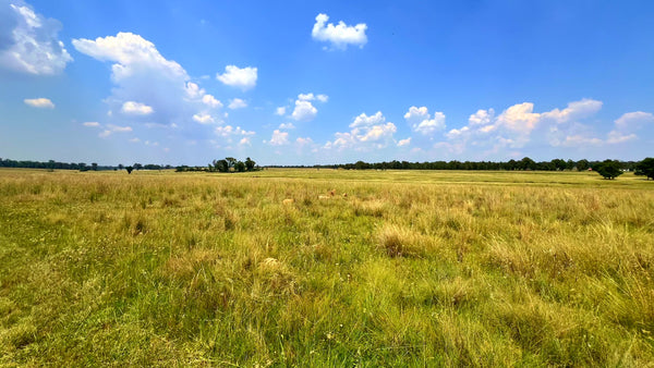 Property 3106061 - Image 85