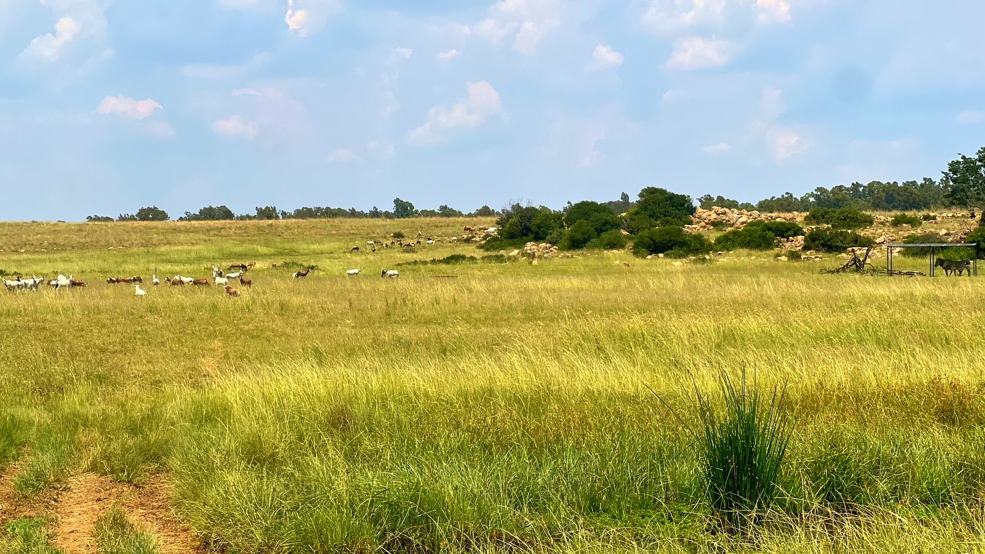 Property 3106061 - Image 86