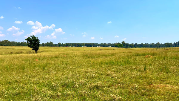 Property 3106061 - Image 87