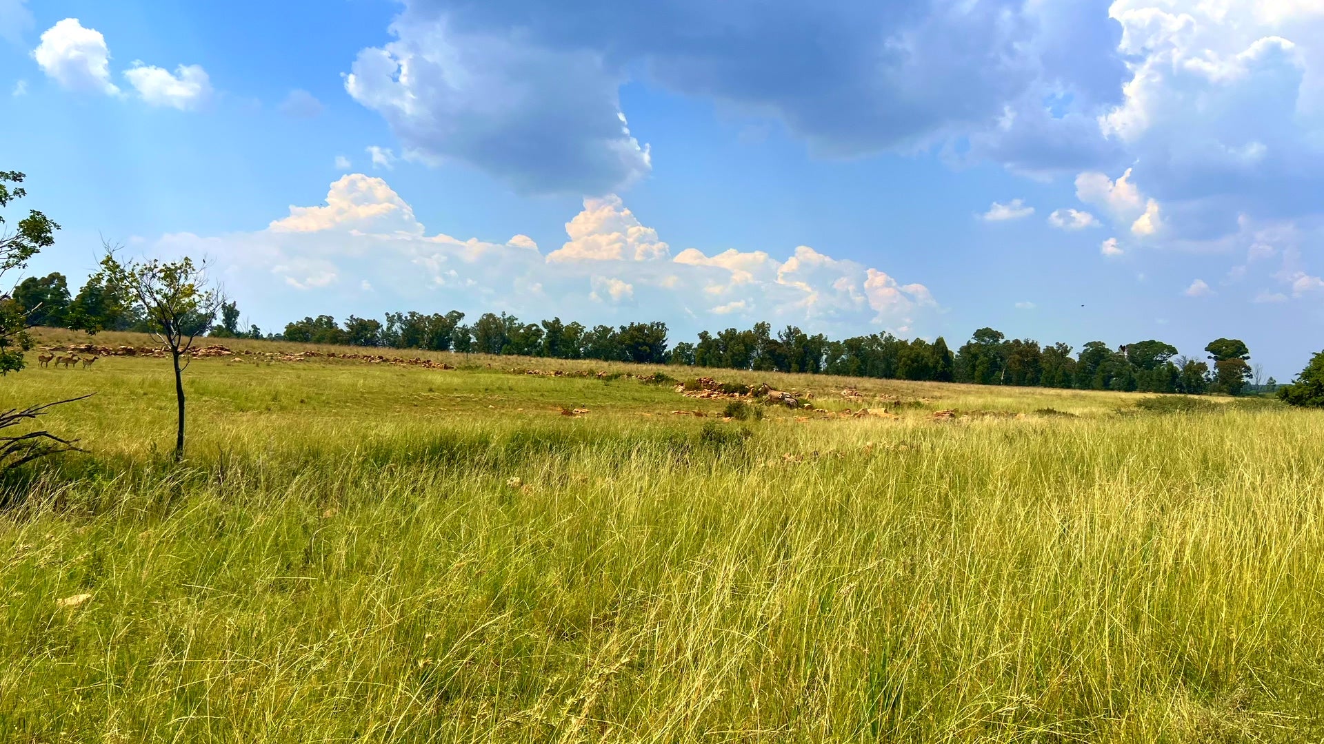 Property 3106061 - Image 88