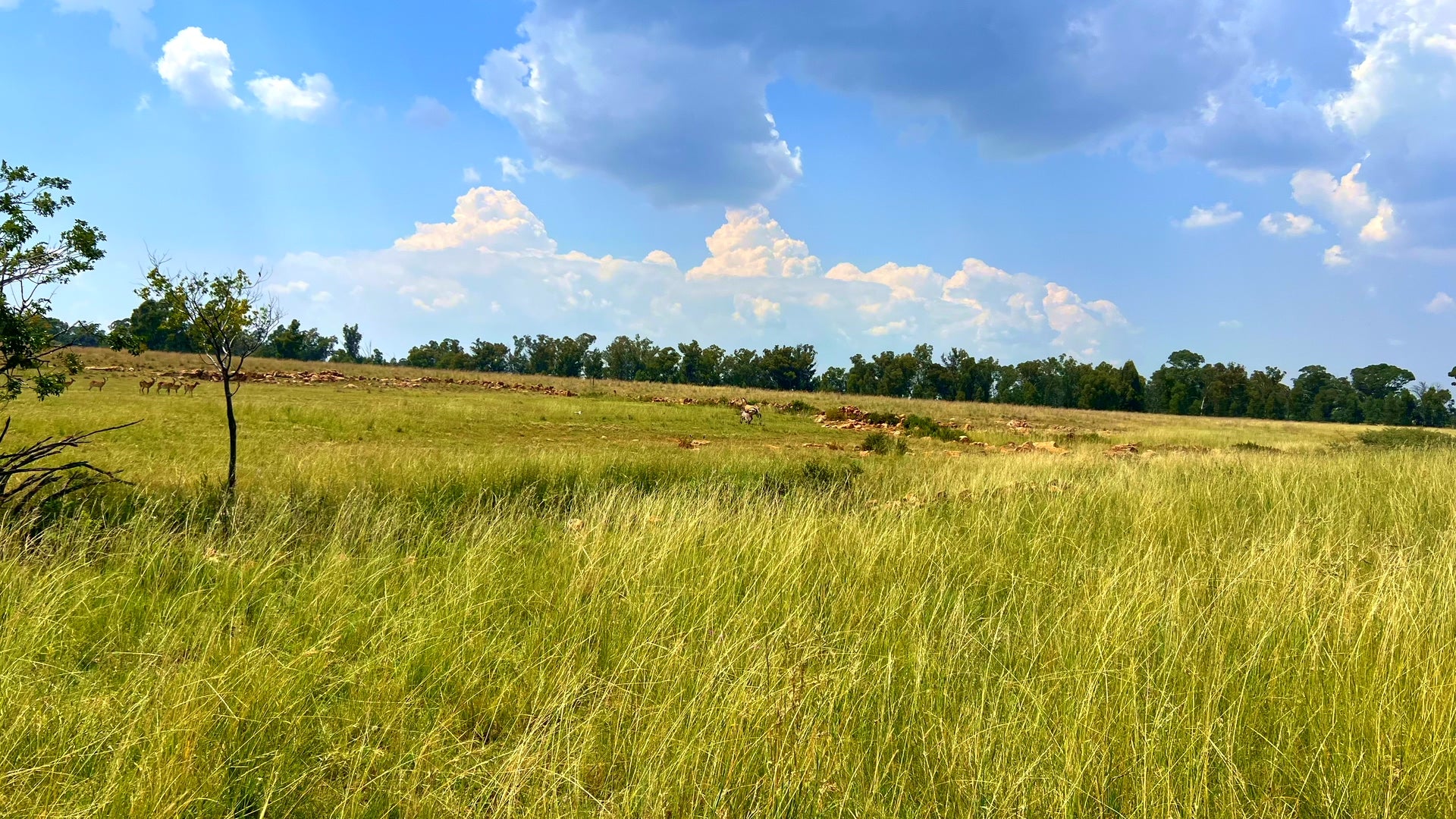 Property 3106061 - Image 89