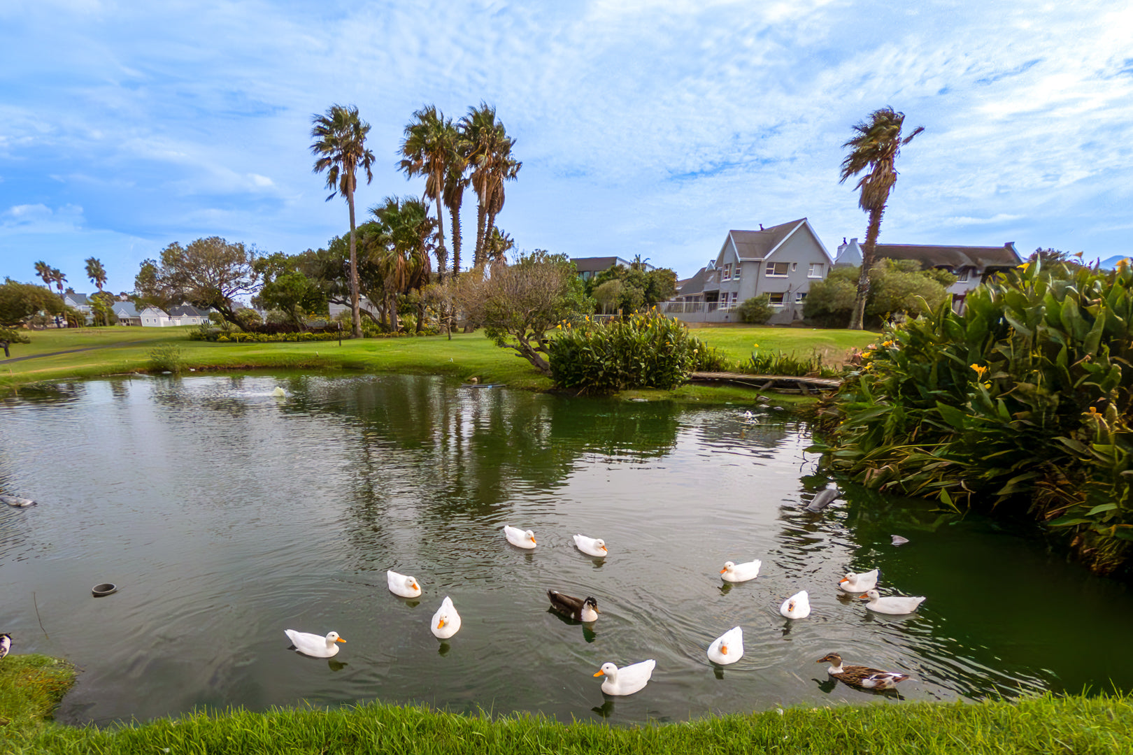 Property 3106264 - Image 13