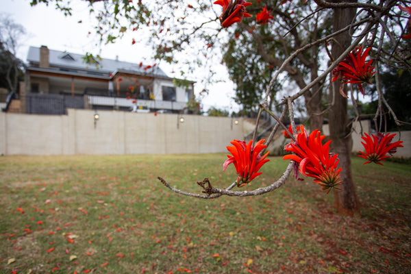 Property 310762 - Image 34