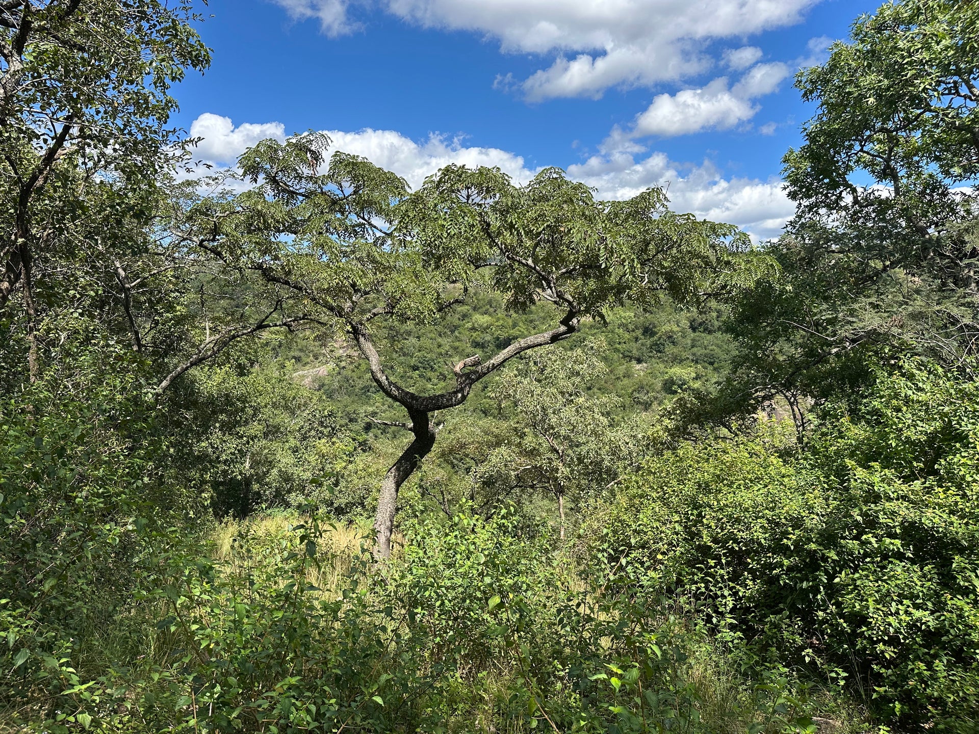 Property 3108559 - Image 38