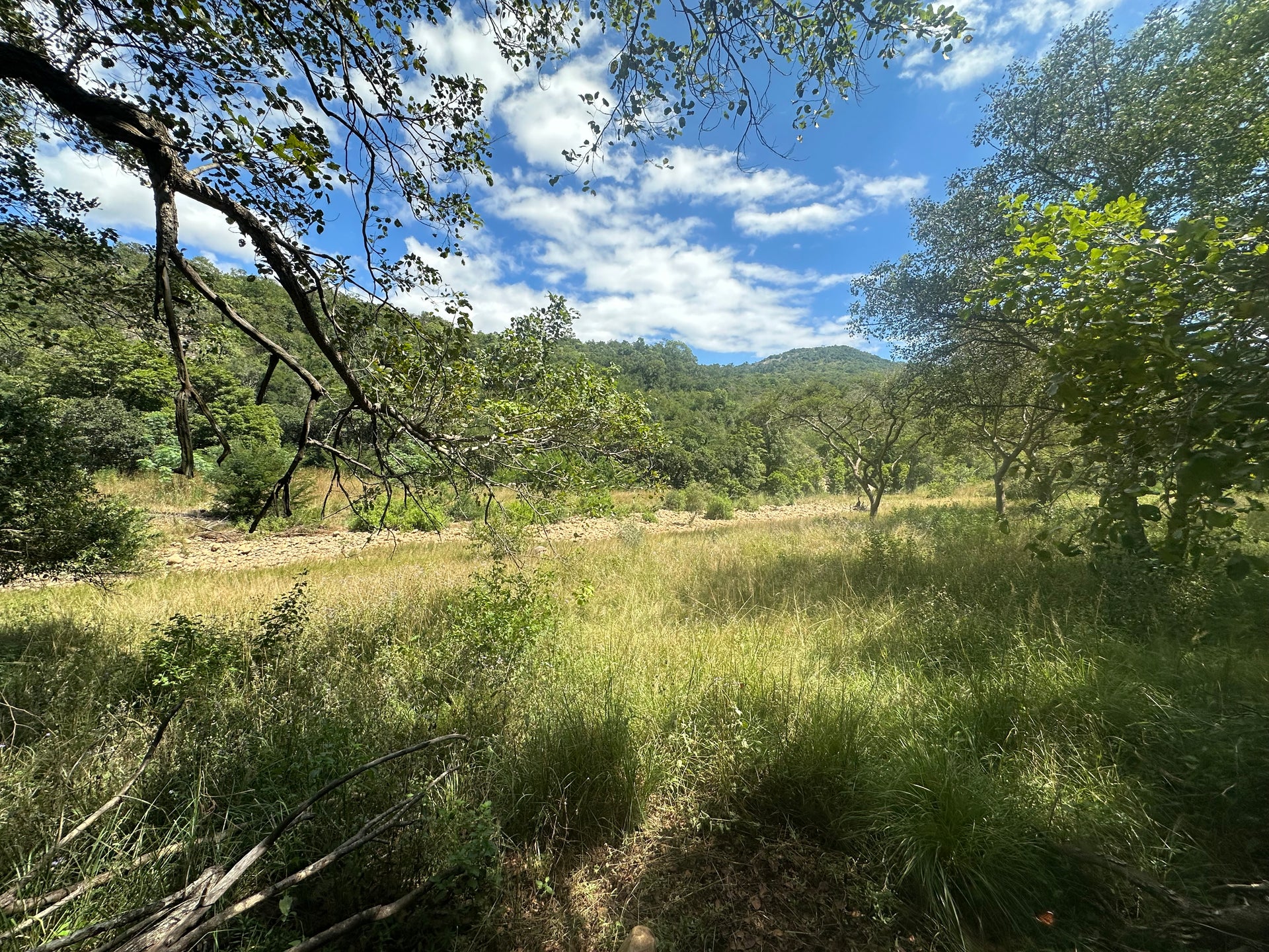 Property 3108559 - Image 47