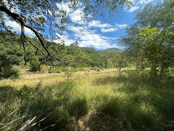 Property 3108559 - Image 47