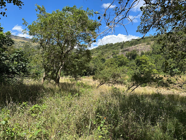 Property 3108559 - Image 50
