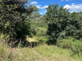 Property 3108559 - Image 57