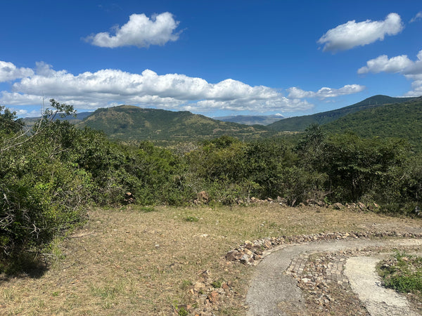 Property 3108559 - Image 6