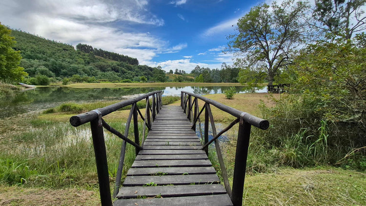 Property 3109235 - Image 1