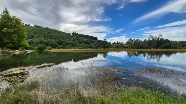 Property 3109235 - Image 2