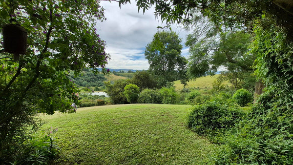 Property 3109235 - Image 28