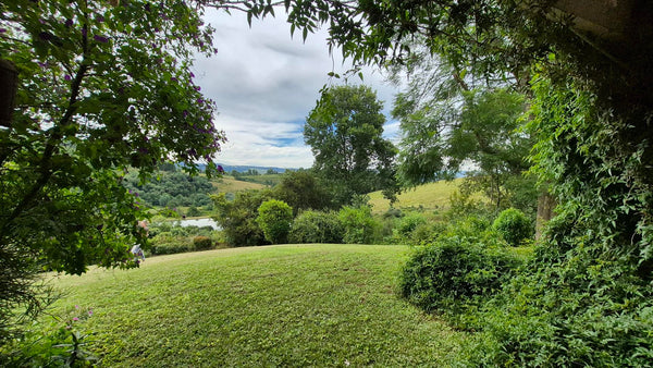 Property 3109235 - Image 29