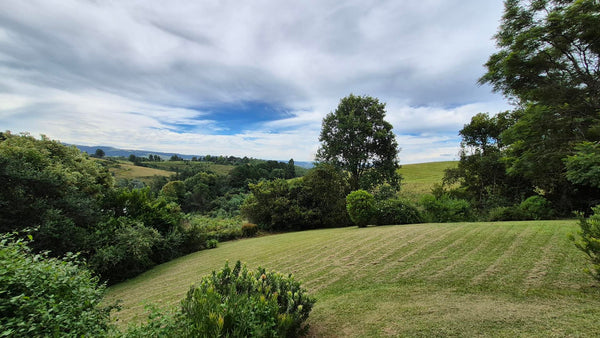 Property 3109235 - Image 34