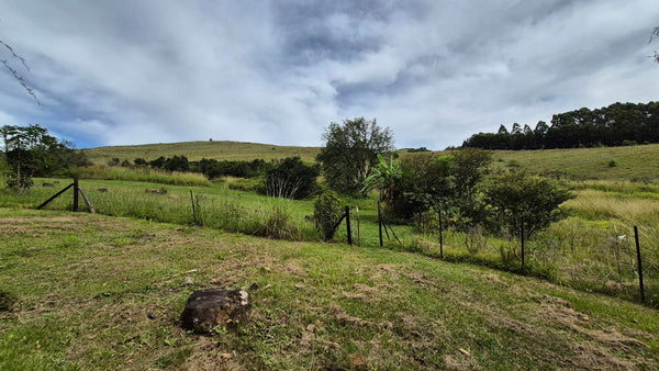 Property 3109235 - Image 41