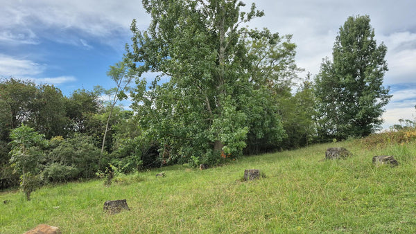 Property 3109235 - Image 45