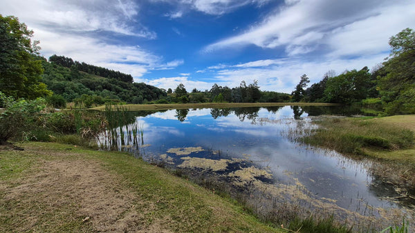 Property 3109235 - Image 47