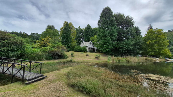 Property 3109235 - Image 49