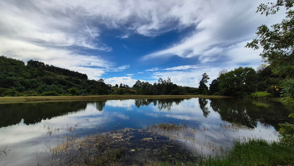 Property 3109235 - Image 56