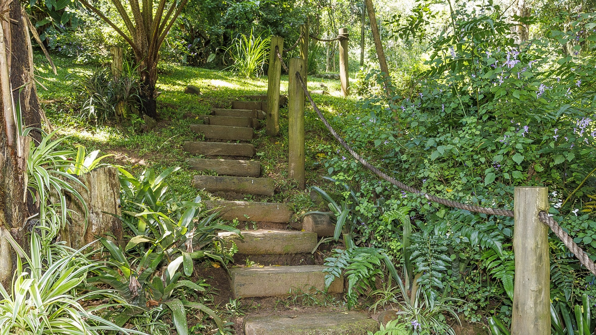 Property 3110059 - Image 22