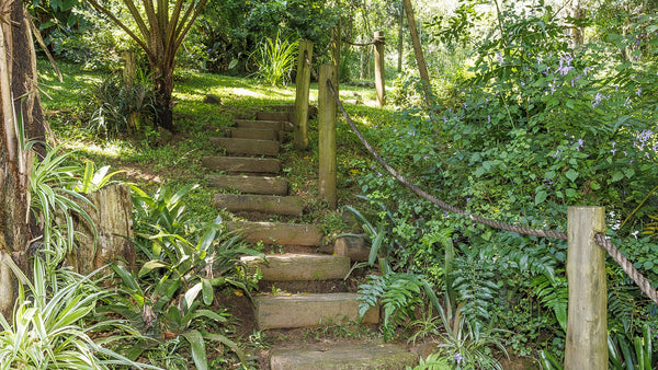 Property 3110059 - Image 22