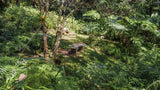 Property 3110059 - Image 23