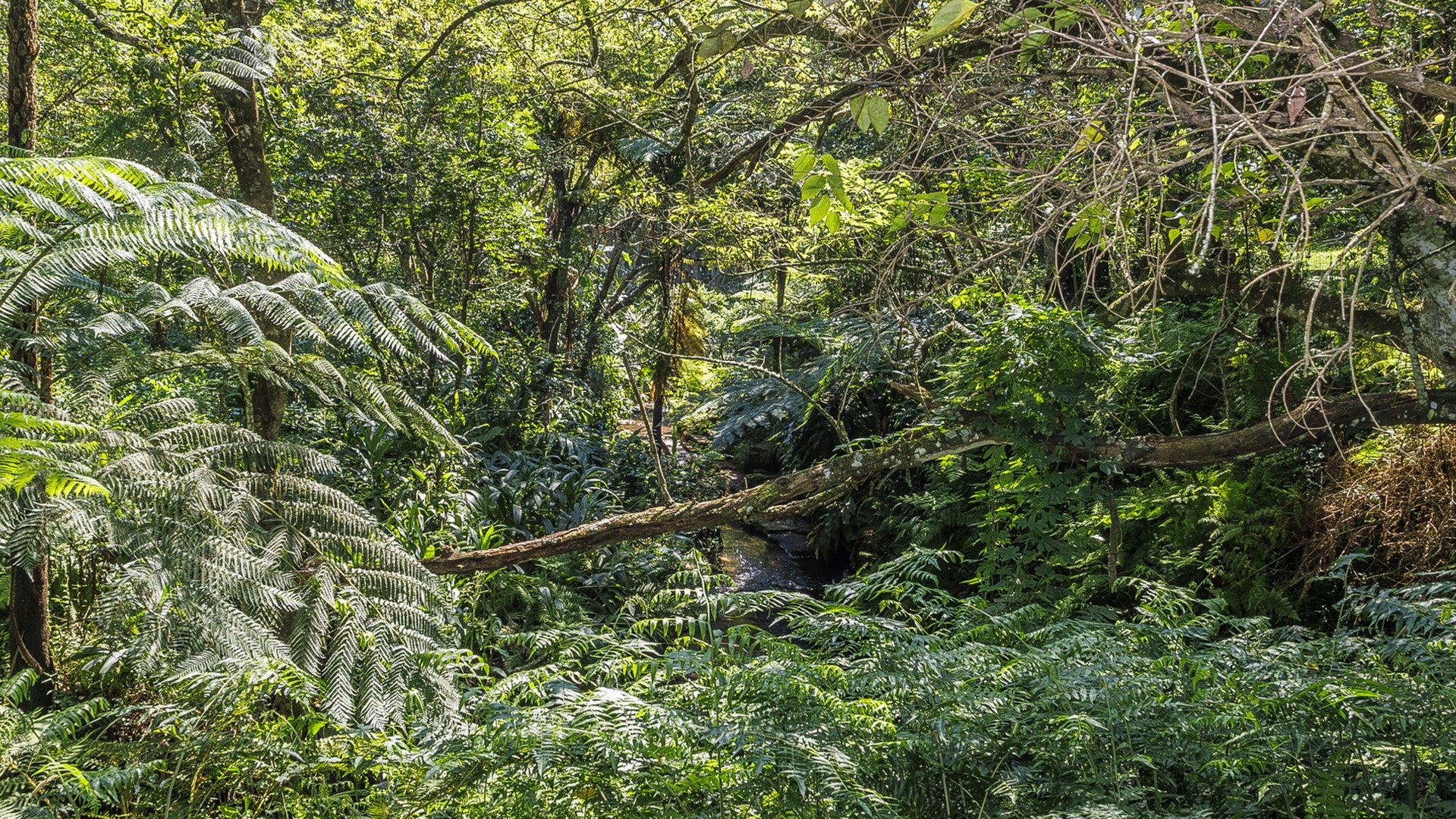 Property 3110059 - Image 81