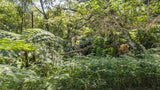 Property 3110059 - Image 82
