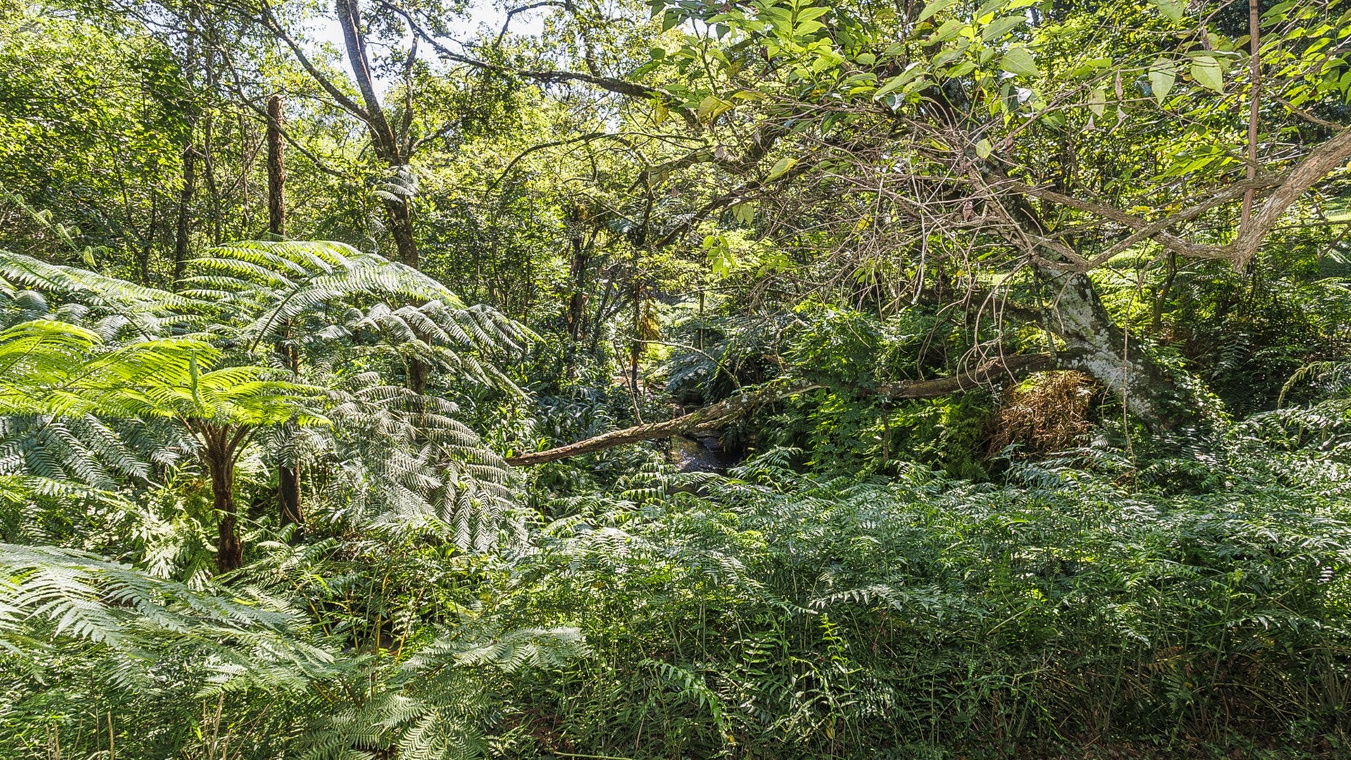 Property 3110059 - Image 82