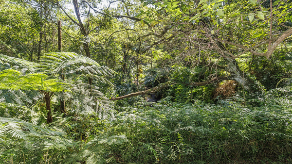 Property 3110059 - Image 82