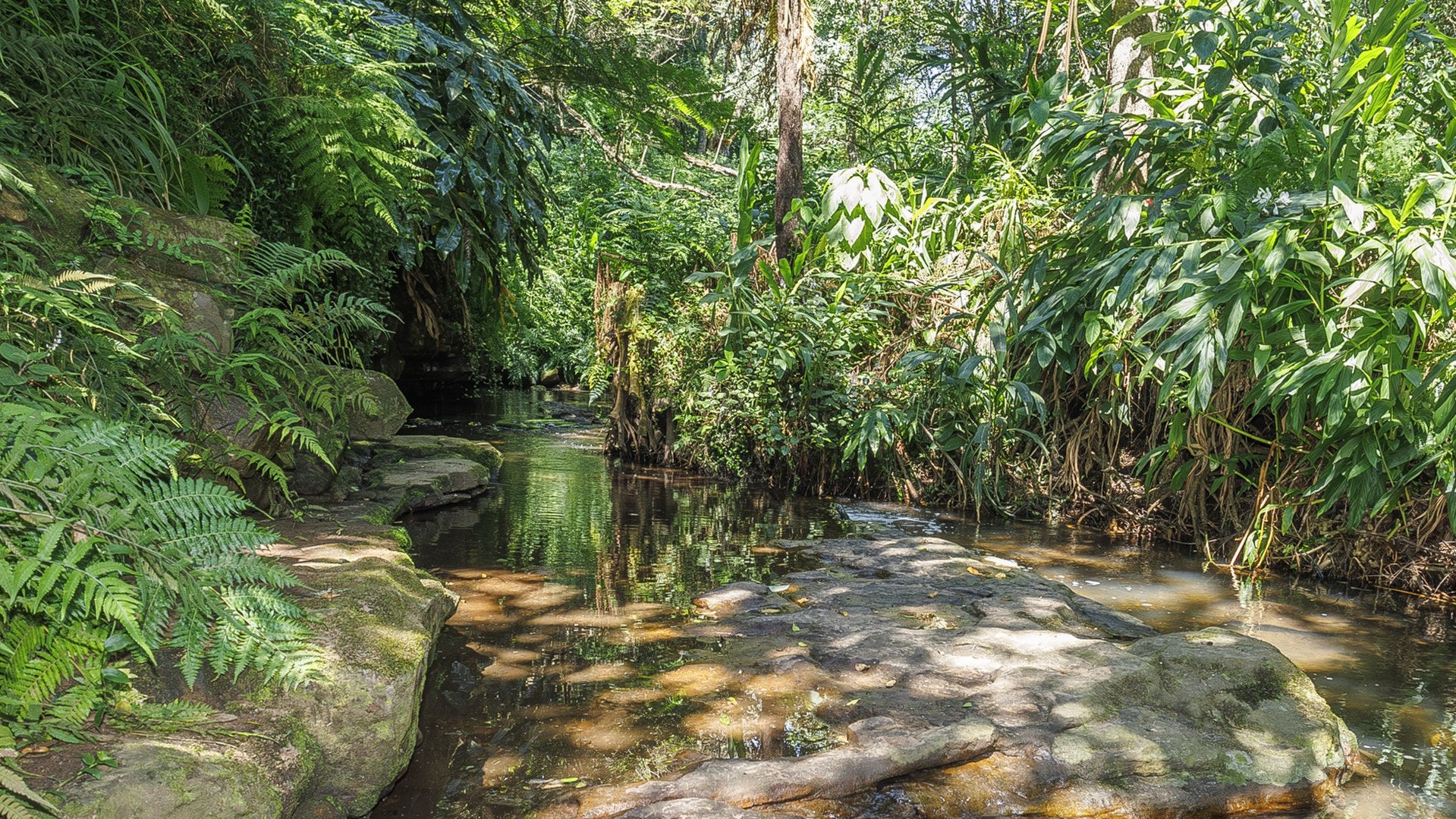Property 3110059 - Image 83