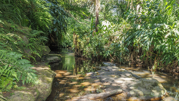 Property 3110059 - Image 83