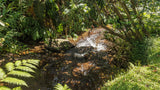 Property 3110059 - Image 85