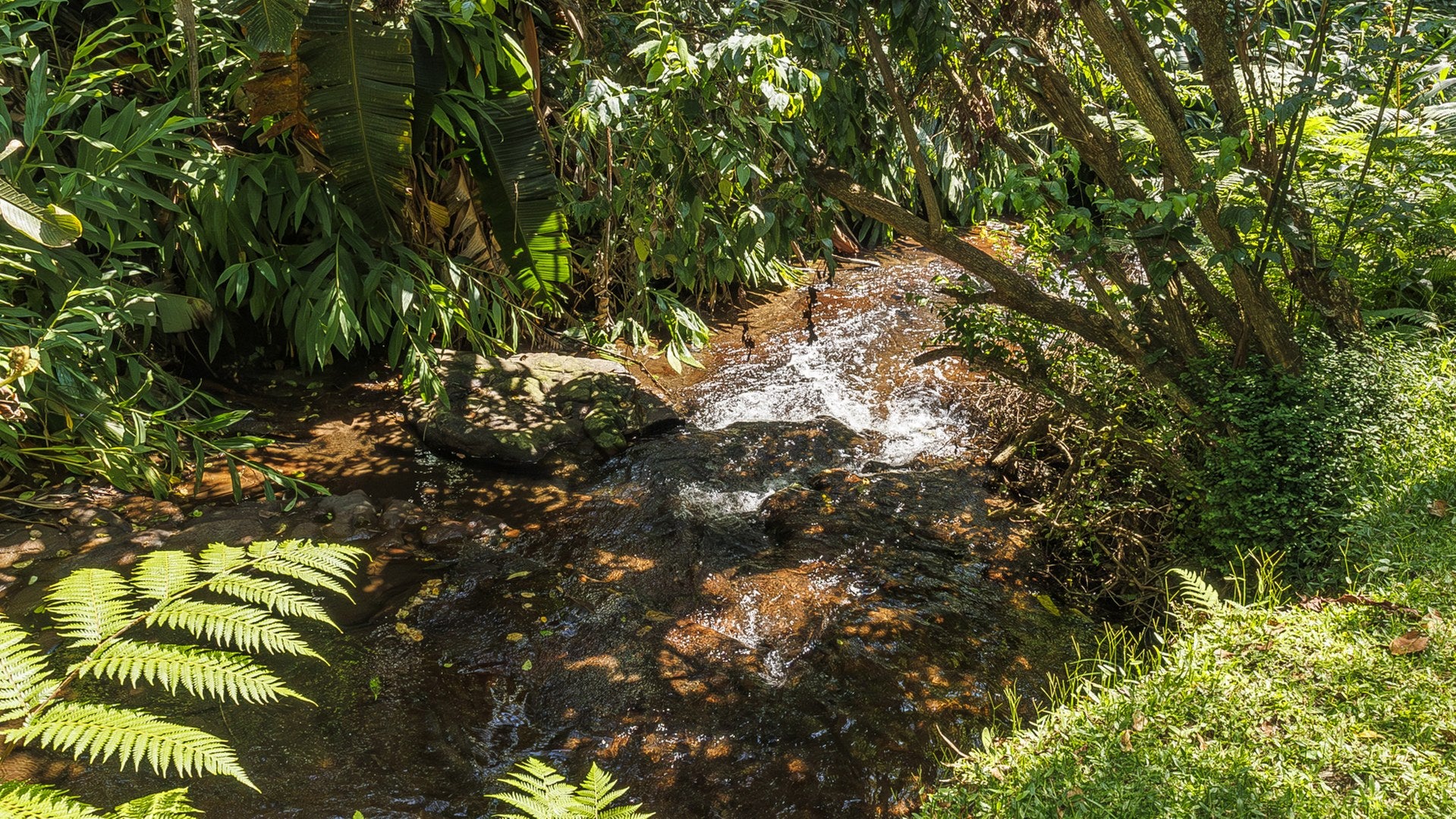 Property 3110059 - Image 85