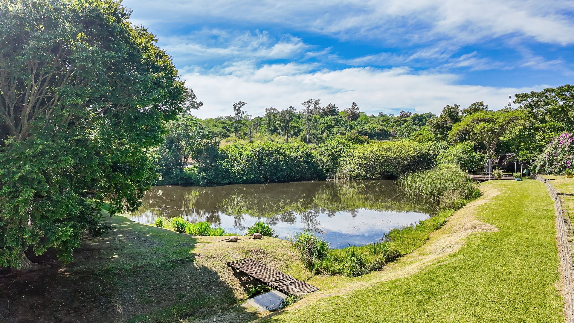 Property 3110718 - Image 9