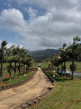 Property 3110805 - Image 17