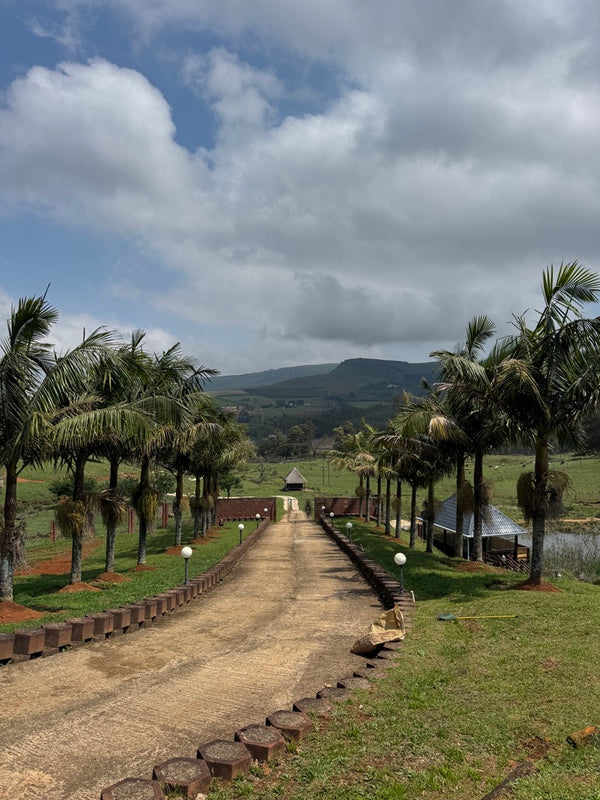 Property 3110805 - Image 17