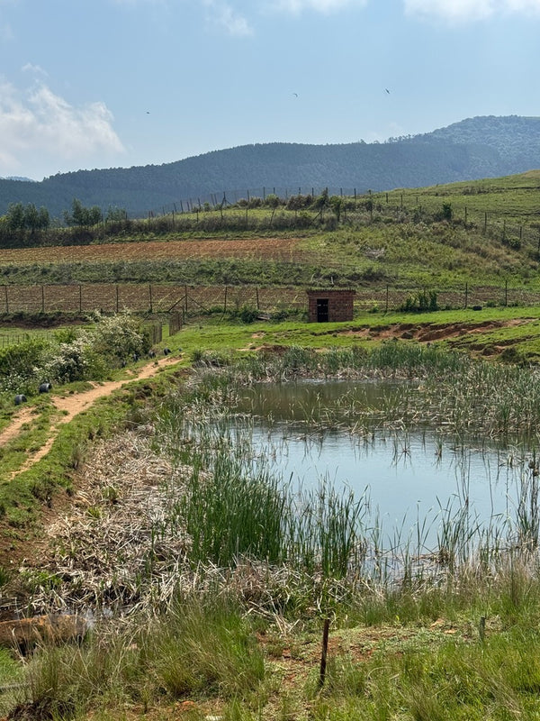 Property 3110805 - Image 18