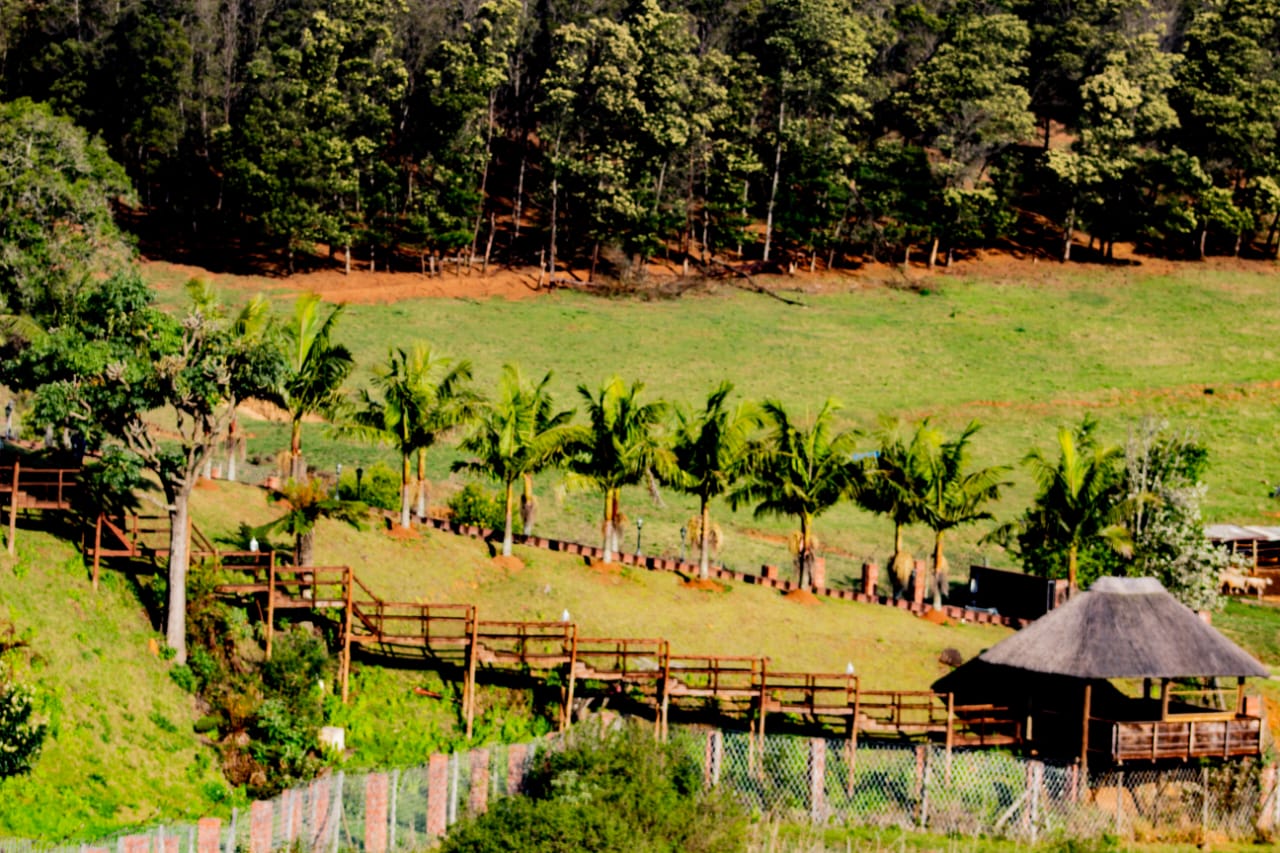 Property 3110805 - Image 20