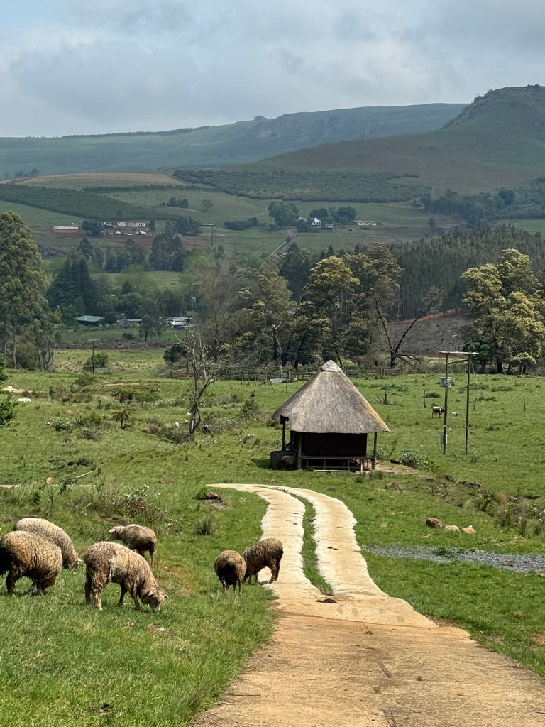 Property 3110805 - Image 22