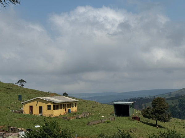 Property 3110805 - Image 25